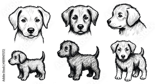 A collection of six detailed pencil sketches of adorable puppies in various poses and angles, showcasing their playful nature.