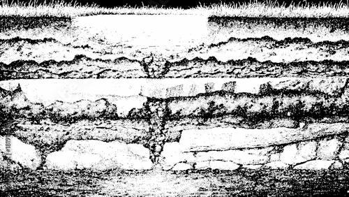 Monochrome distressed layered earth texture with organic soil and sparse grass isolated on transparent background, Vector, illustration