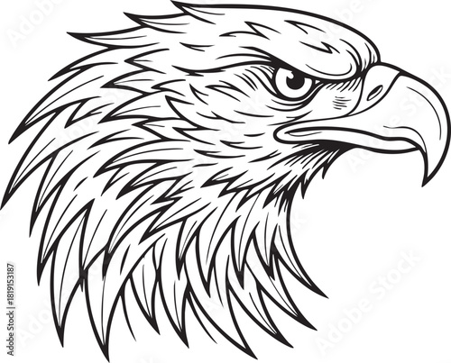 Majestic eagle head illustration showcasing fierce bird profile with sharp beak and feathers in detailed black and white drawing