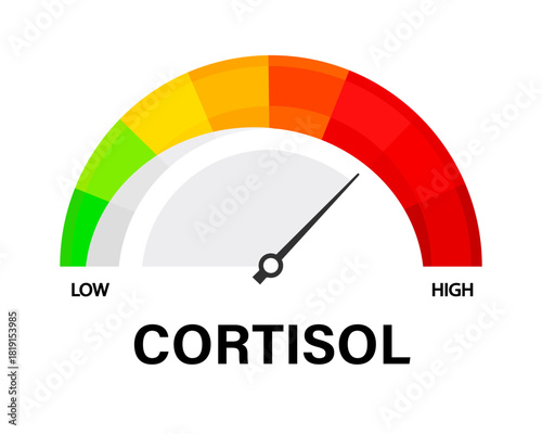 Cortisol level scale with arrow. Vector isolated on white.