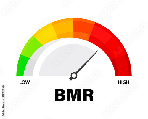 BMR level vector scale with arrow isolated on white.