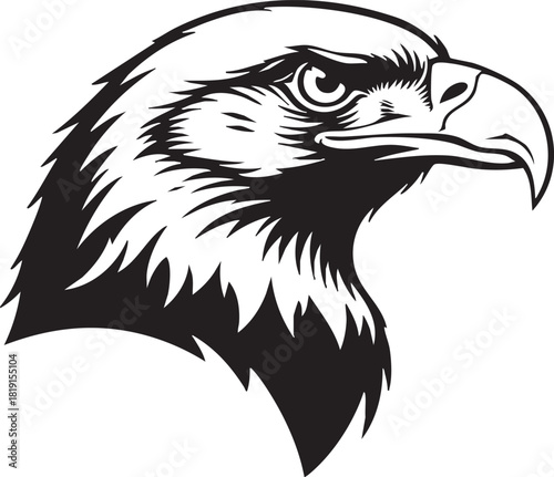 An illustration of an eagle's head viewed from the side, showcasing sharp beak and piercing eyes
