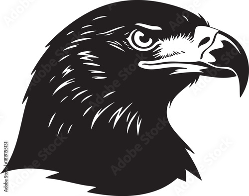 A majestic eagle's head viewed from the side, showcasing its sharp beak and piercing gaze, an illustration of wildlife.
