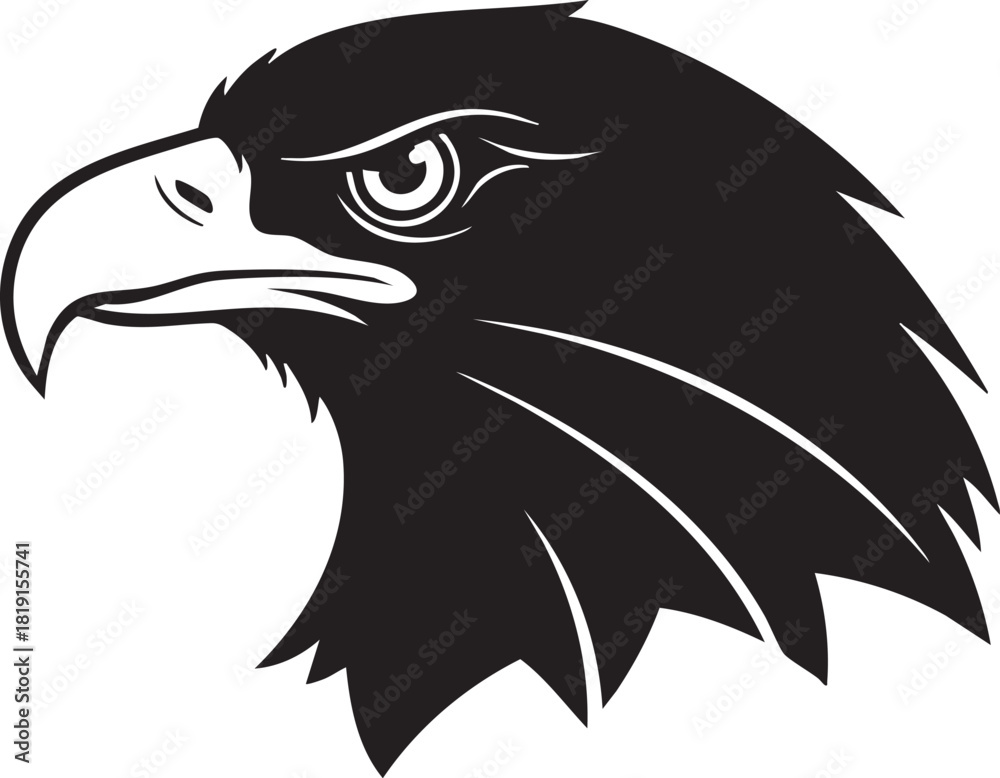 Obraz premium Black and White Illustration of an Eagle's Head Showing Sharp Talons and Feathers from a Close-Up Front View