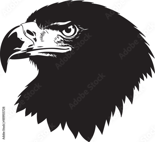 A majestic eagle's head is depicted in a detailed illustration, showcasing its sharp beak and piercing gaze from a close-up viewpoint.