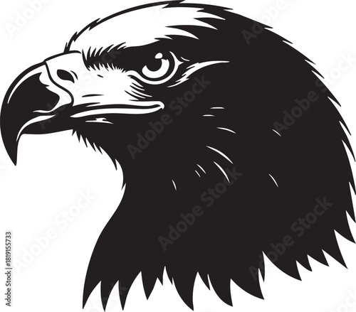 A detailed black and white illustration of an eagle's head viewed from the side, showcasing its sharp beak and feathers.