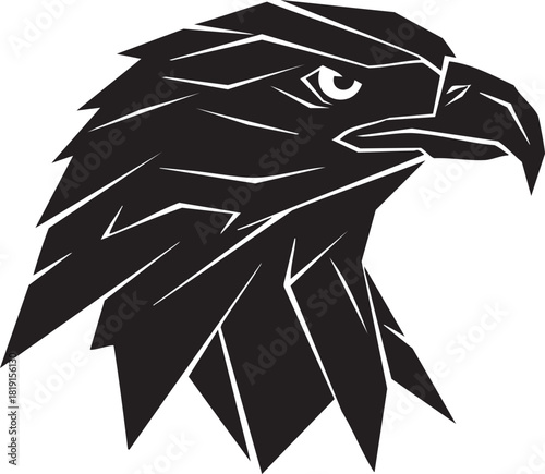 Eagle head illustration showcasing sharp beak and piercing gaze in a black and white graphic representation
