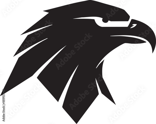 A close-up graphic illustration of an eagle's head in profile, showcasing its sharp beak and majestic feathers