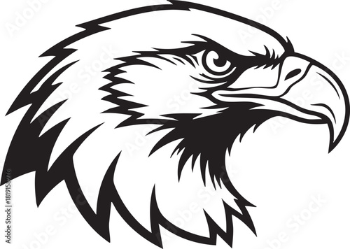 Detailed Illustration of an Eagle's Head Profile with Sharp Talons and Feathers