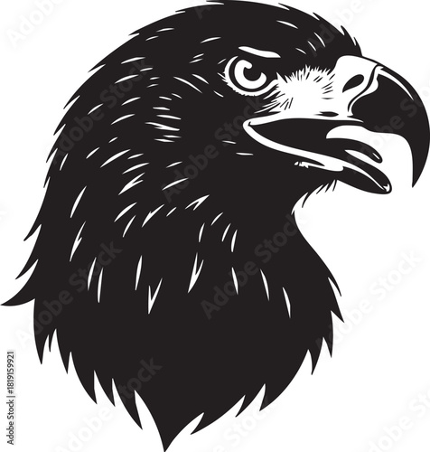 Majestic eagle head illustration in a bold black and white vector style. A powerful bird of prey symbol for logos and mascots