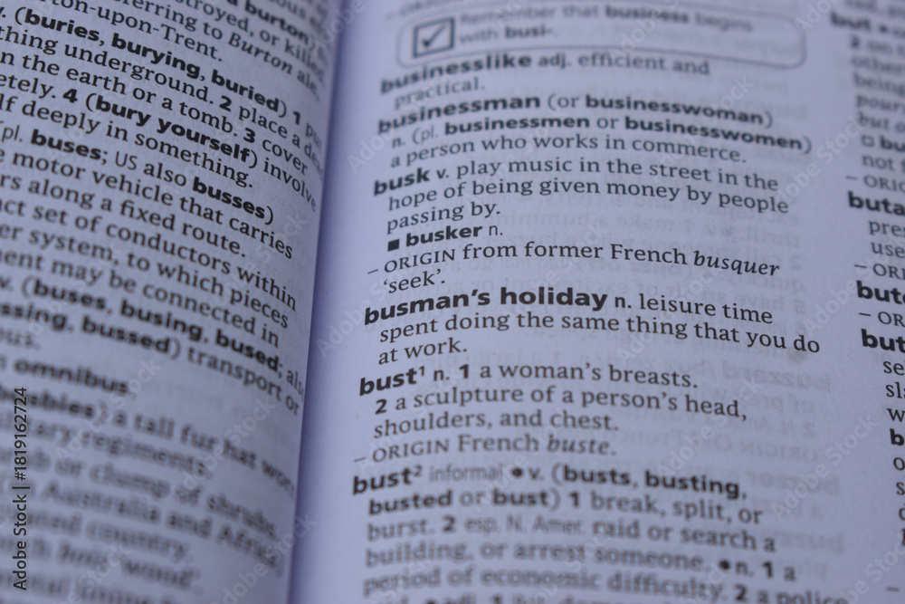 Obraz premium English Dictionary Page Close Up With The Word Meaning Of -busman's holiday