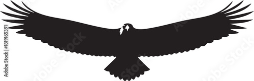 Symmetrical black silhouette of a powerful eagle in full flight with its wings spread open, a symbol of freedom and strength isolated on a white background