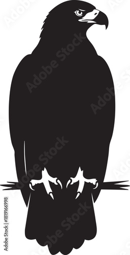 A striking black silhouette of a majestic eagle perched, looking intently forward. This powerful bird of prey vector illustration symbolizes freedom and strength