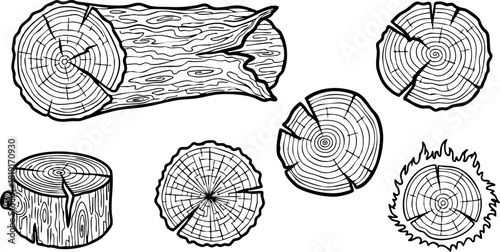 Hand drawn wooden logs and tree trunk cross sections detailed vector illustration natural texture design