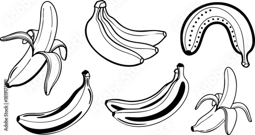 Banana set with peeled and unpeeled fruits hand drawn vector illustration black and white