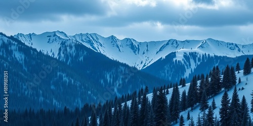 Snowy mountain range, dark pine trees, winter hills, vector art,  artwork,  snow