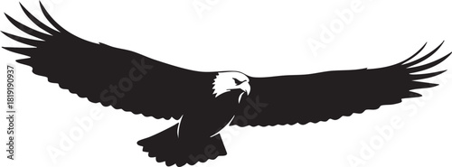eagle icon illustration black silhouttee tatto art mighty wings 