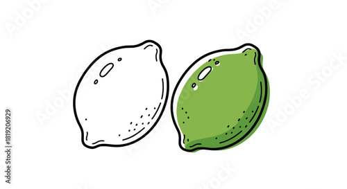 Vibrant lime illustration showcases fresh, tangy citrus fruit in line art and green color
