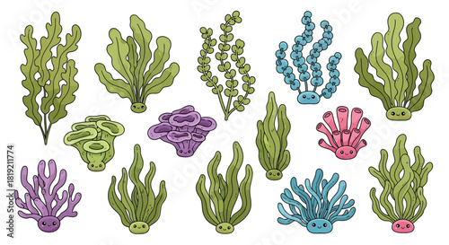 Colorful diverse seaweed collection vector illustration with smiling faces creating vibrant marine