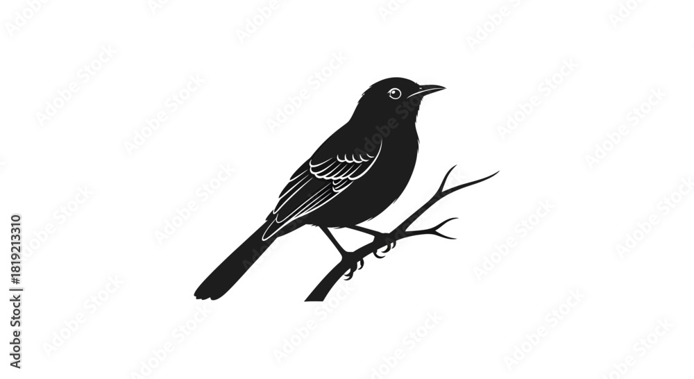 Obraz premium Elegant blackbird silhouette perched on a branch offering a timeless graphic design element