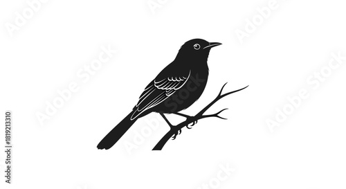 Elegant blackbird silhouette perched on a branch offering a timeless graphic design element