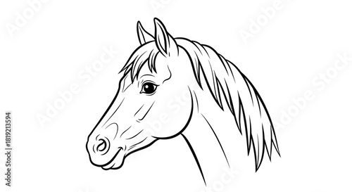 Elegant horse head outline drawing offers detailed simplicity and classical styling great for