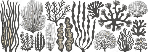 Assortment of Stylized Seaweed and Coral Forms Keywords: seaweed, coral, marine life, underwater