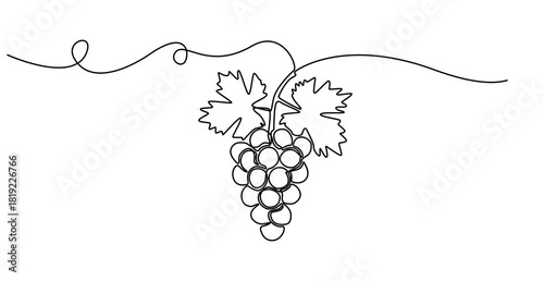 Self drawing line animation healthy organic grapes Fresh tropical fruitage continuous one single line drawn concept video, Fresh tropical fruitage concept for fruit orchard garden icon. Full length on