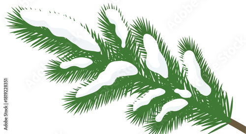 Pine branch with snow illustration isolated on