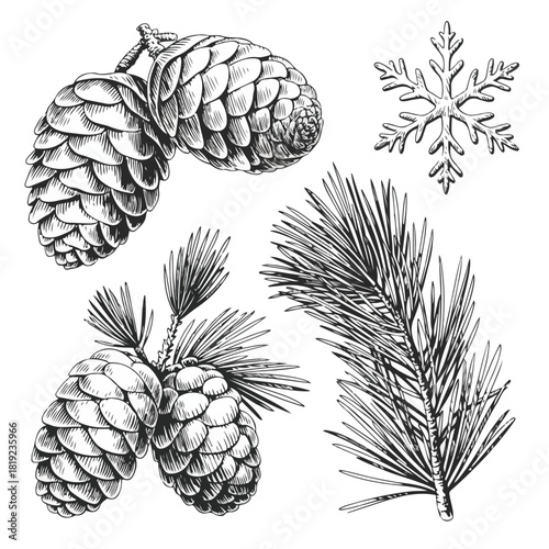 Vintage Winter Elements – Detailed Engraving-Style Illustration