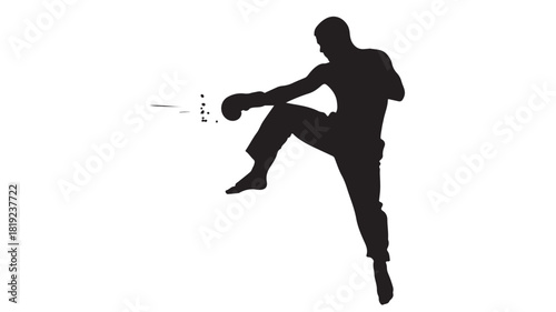 Dynamic silhouette of martial artist delivering powerful kick with focused energy and explosive movement, perfect for fitness, sports, and self defense promotions