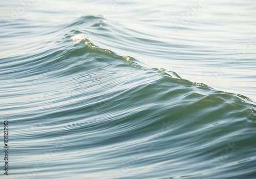 Fototapeta Naklejka Na Ścianę i Meble -  Gentle turquoise wave rolling across the sea with sunlit crest detail