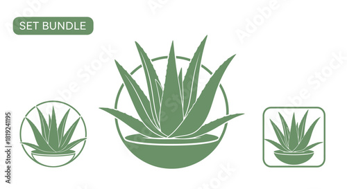 Aloe Vera Plant Icons - Set Bundle with Circular and Square Designs.