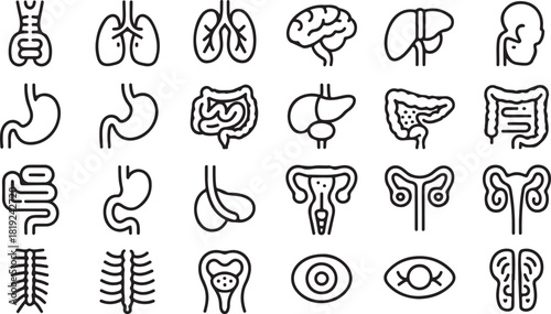 Various human internal organs are precisely outlined in black lines, set against transparent backdrop