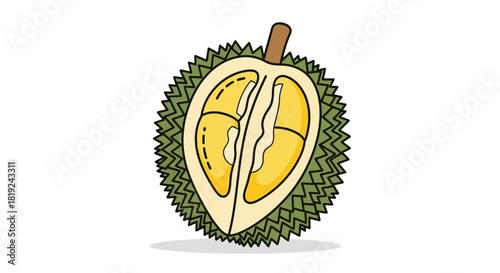Durian fruit cut open showing the edible yellow flesh and spiky green exterior.