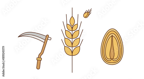 Hand drawn illustration set of wheat stalk grain and scythe for agriculture.