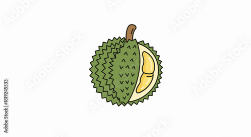 Illustration of a Durian fruit cut in half showing its creamy yellow flesh.
