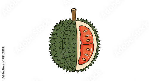 Illustration of a Durian Fruit with a Cutaway View.