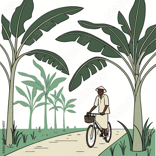 Person wearing conical hat rides bicycle along path through lush tropical banana plantation on sunny day