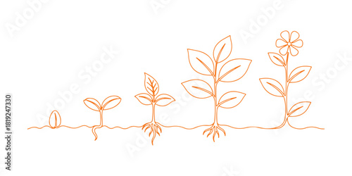 A minimalist illustration featuring a single line art that showcases the growth stages of a plant.

