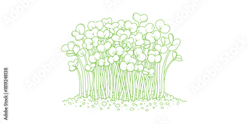 hand-drawn doodle of microgreens emerging from the soil. This black and white line art illustration is ideal for eco-friendly designs, organic food, healthy lifestyle concepts, and farm markets.