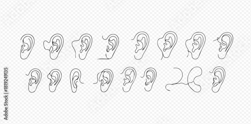Collection of line art drawings illustrating various human ear shapes and anatomical structures on a transparent background.