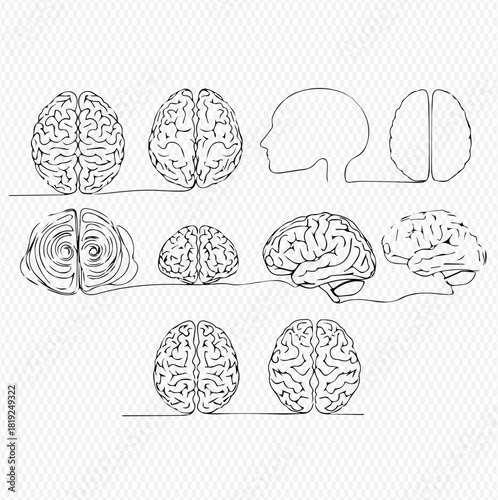 Continuous line art drawings of human brains shown from multiple perspectives and a head silhouette.