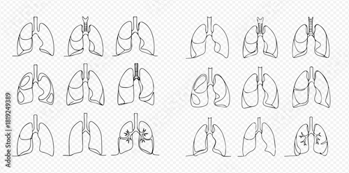 Line art illustrations of human lungs, depicting both healthy and diseased states, for medical and educational purposes.
