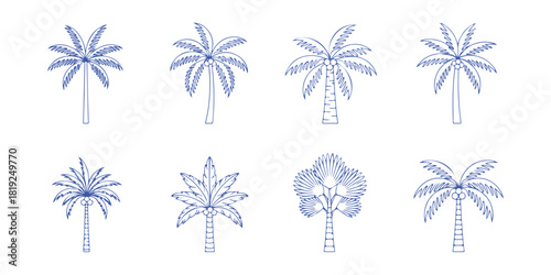 Set palm icons on a white background. Tropical trees, tropical forest. Vector illustration
