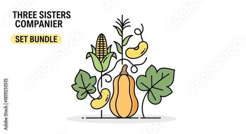 Three Sisters Companion Planting Bundle with Corn Beans and Squash.