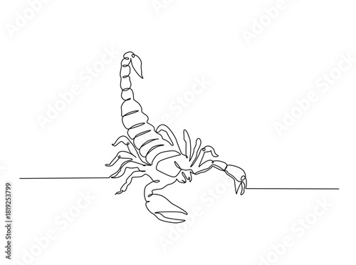 Continuous line art drawing of scorpion animal. Scorpio line art illustration. Editable stroke.