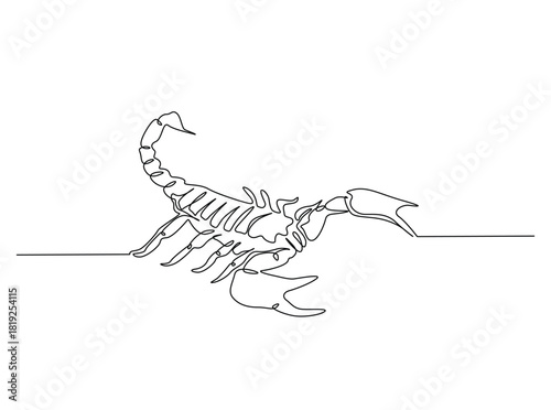Continuous line art drawing of scorpion animal. Scorpio line art illustration. Editable stroke.