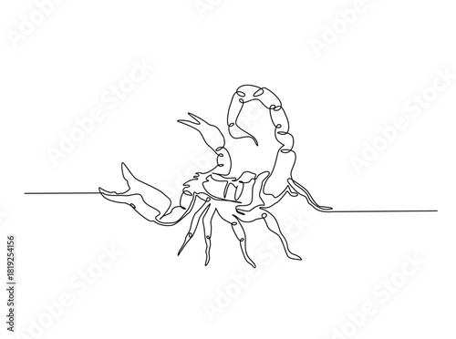 Continuous line art drawing of scorpion animal. Scorpio line art illustration. Editable stroke.
