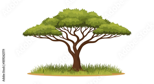 Solitary acacia tree thriving in the savanna, an illustration of life and nature resilience on the